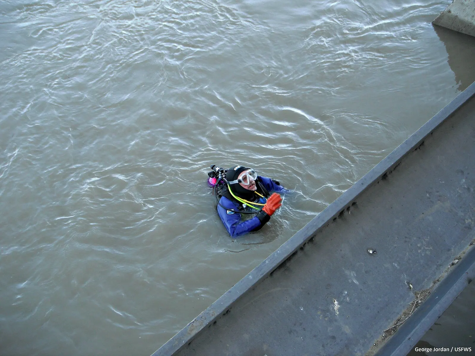 What a Hull Cleaning Diver Actually Does on Each Visit